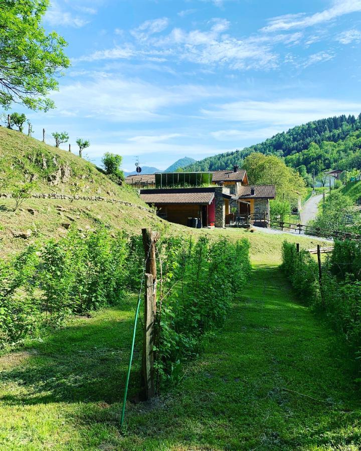 Agriturismo Il Talento Nella Quiete Castiglione dʼIntelvi Екстериор снимка