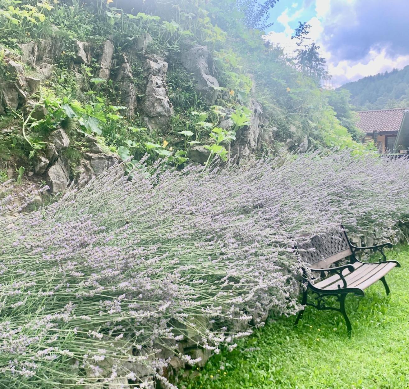 Agriturismo Il Talento Nella Quiete Castiglione dʼIntelvi Екстериор снимка