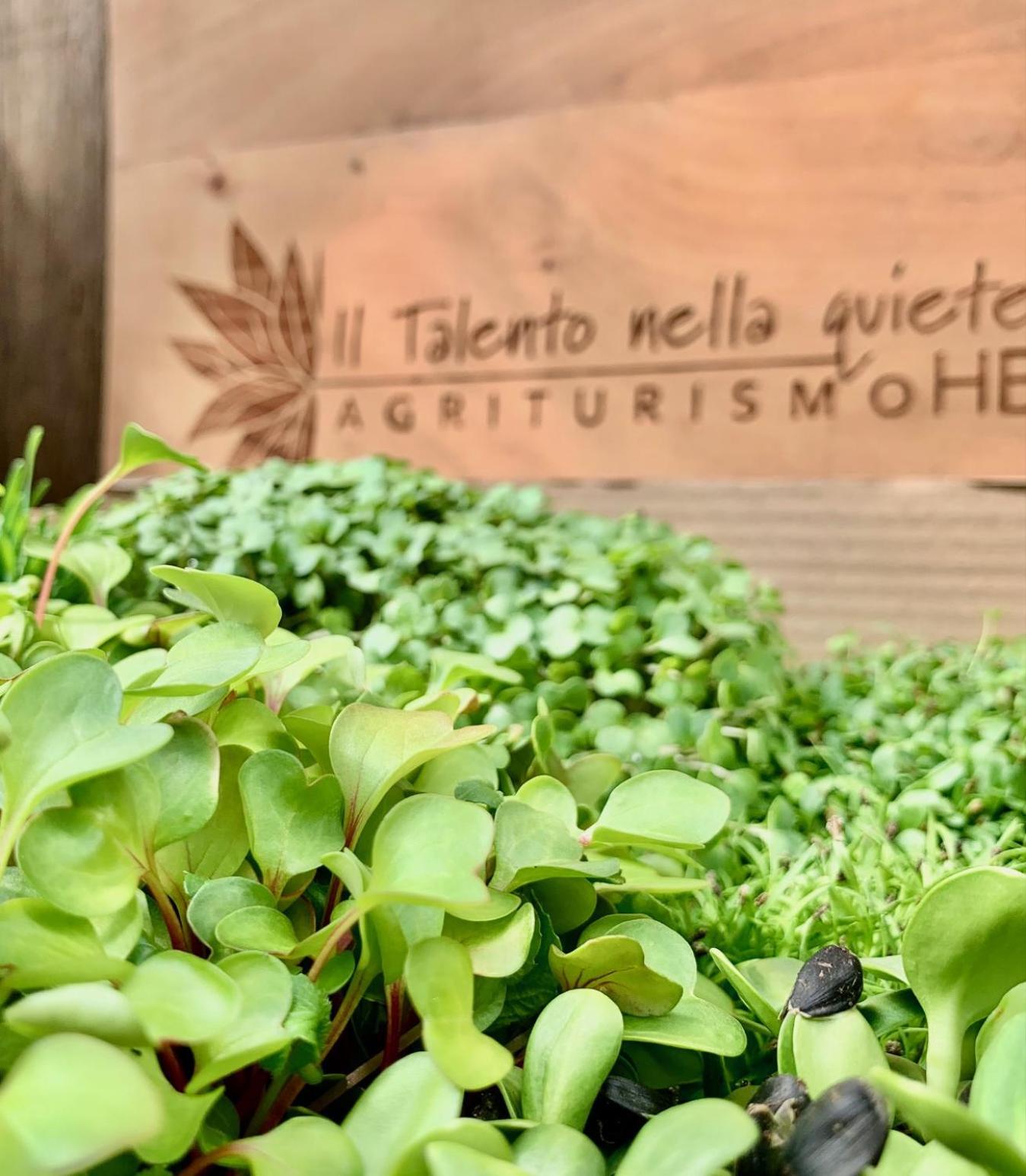Agriturismo Il Talento Nella Quiete Castiglione dʼIntelvi Екстериор снимка