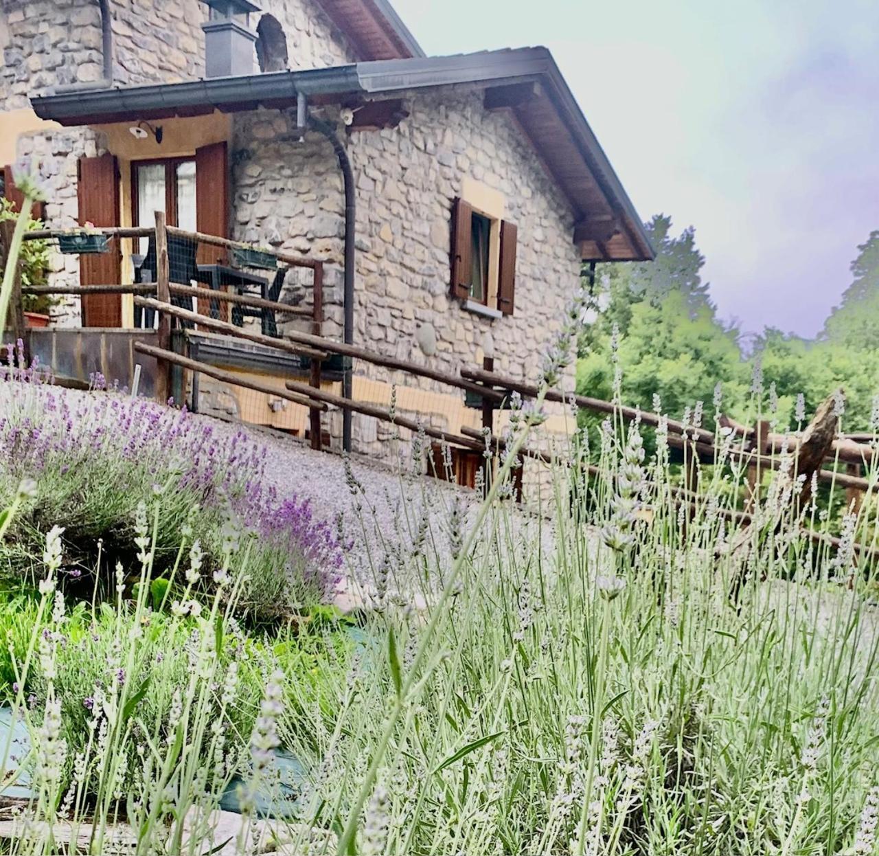 Agriturismo Il Talento Nella Quiete Castiglione dʼIntelvi Екстериор снимка